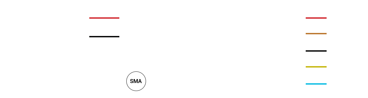 casTen usage diagram.